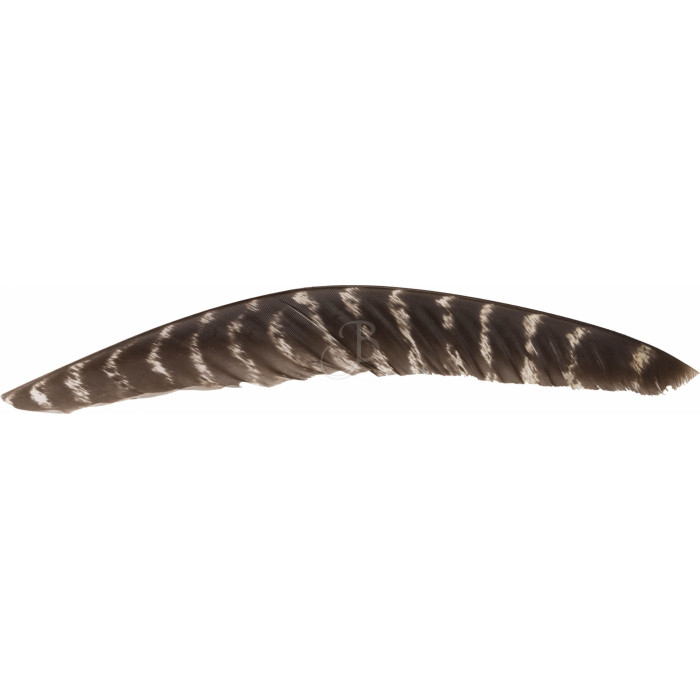 CROSS-X NATURFEDERN FL BARR. CROSS-X NATURFEDERN FL BARR.