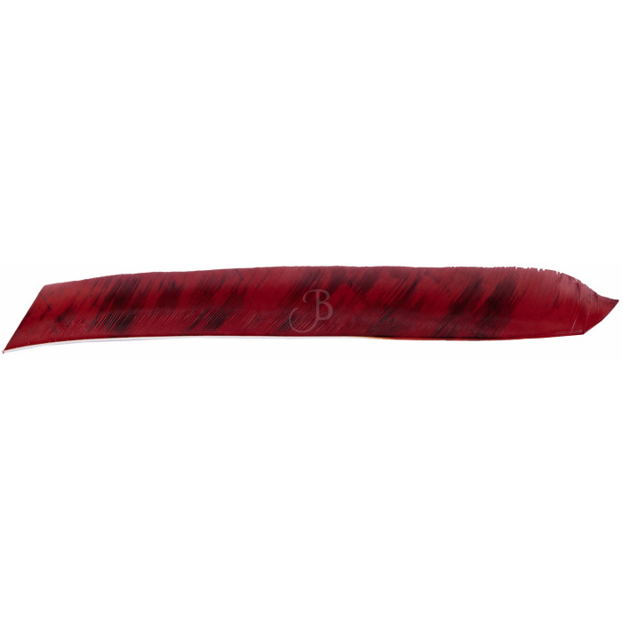 CROSS-X PENNE NAT. FULL LGT TREBARK CROSS-X PENNE NAT. FULL LGT TREBARK