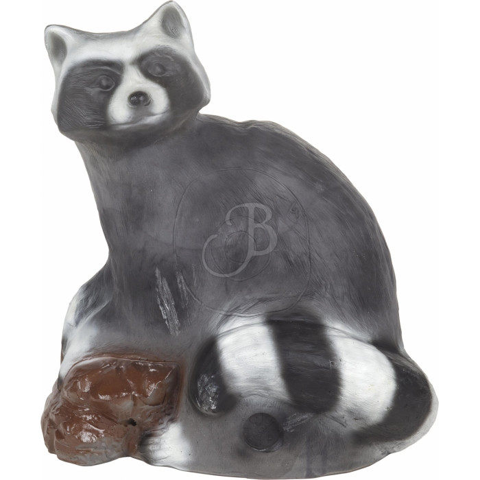 C. POINT 3D TARGET RACCON C. POINT 3D TARGET RACCON
