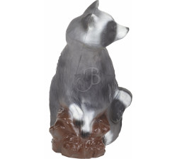 C. POINT 3D TARGET RACCON