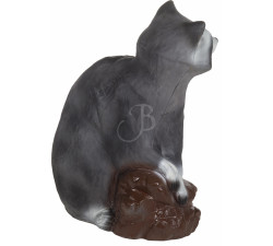 C. POINT 3D TARGET RACCON