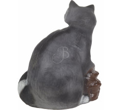 C. POINT 3D TARGET RACCON