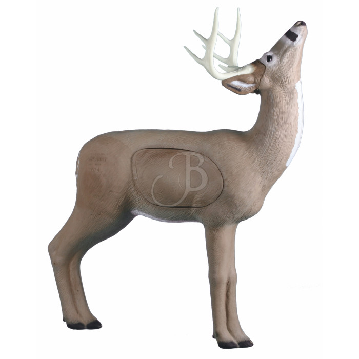 RINEHART 3D BROWSING BUCK RINEHART 3D BROWSING BUCK