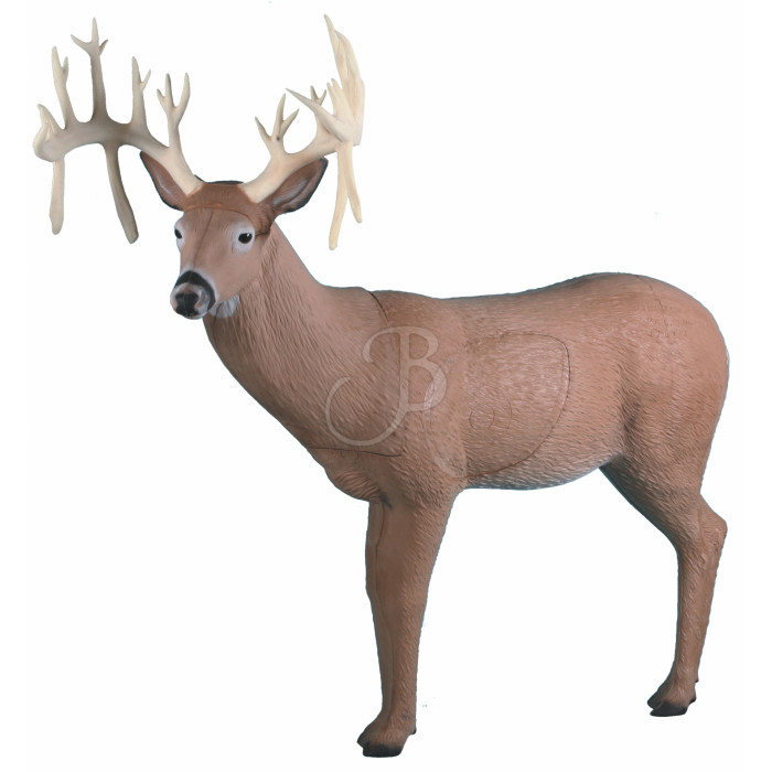 RINEHART 3D 30 POINT BUCK RINEHART 3D 30 POINT BUCK