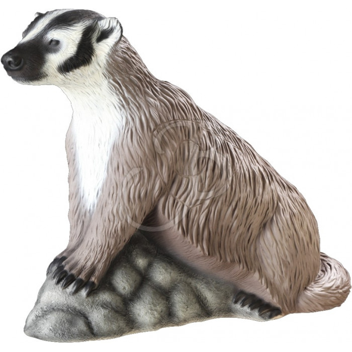 RINEHART 3D 419 TASSO