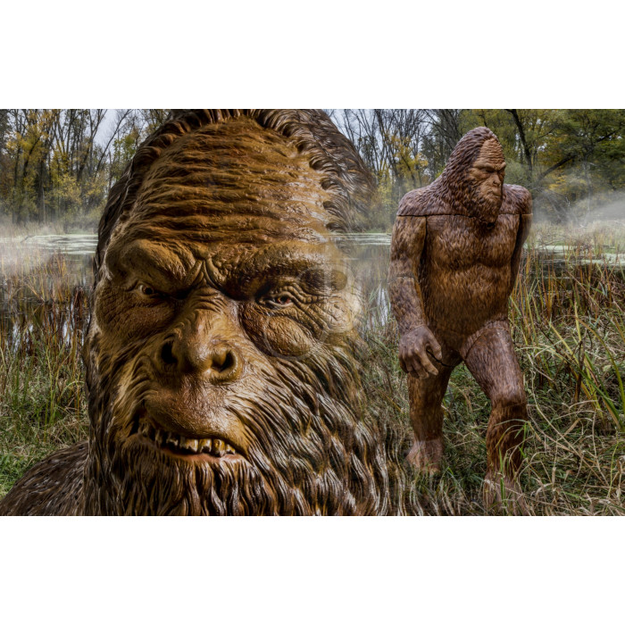 RINEHART 3D 271 SASQUATCH RINEHART 3D 271 SASQUATCH