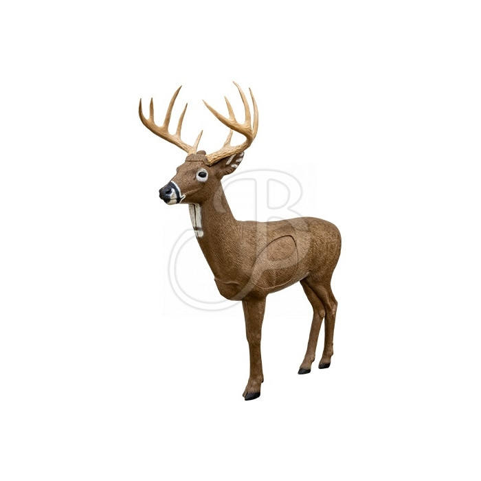 RINEHART 3D WOODLAND BIG JIM RINEHART 3D WOODLAND BIG JIM