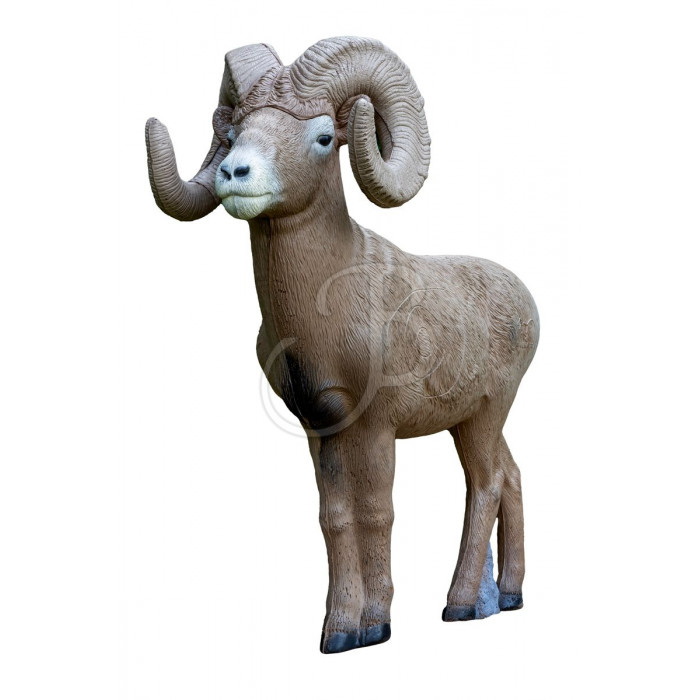 RINEHART 3D BIGHORN SHEEP 1:2 SCALE RINEHART 3D BIGHORN SHEEP 1:2 SCALE
