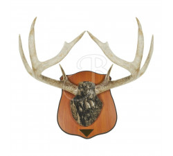 ALLEN HEIRLOOM MOUNTING PLAQUE