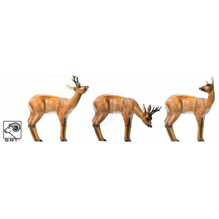 SRT SET 3D TARGET ROEBUCK VSE SRT SET 3D TARGET ROEBUCK VSE