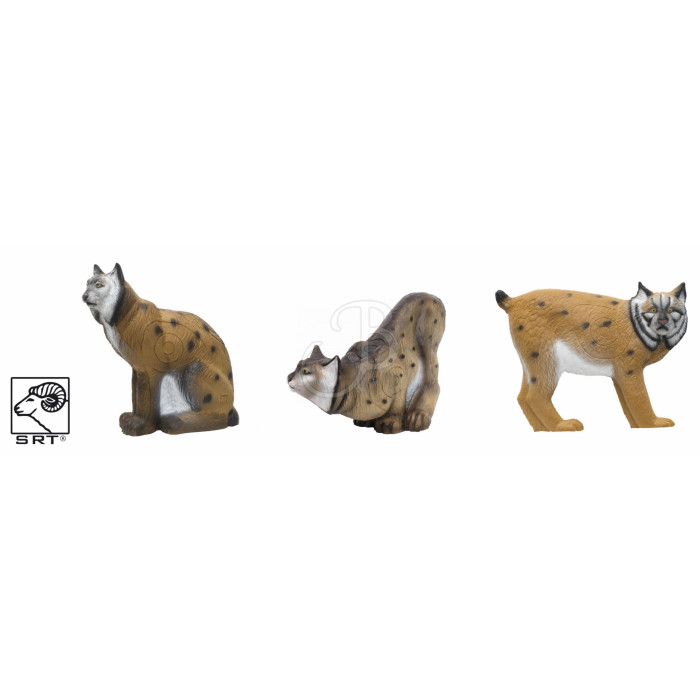 SRT SET 3D TARGET LINX SRT SET 3D TARGET LINX