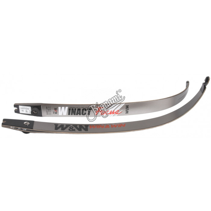 WIN & WIN LIMBS FOCUS CARBON WIN & WIN LIMBS FOCUS CARBON
