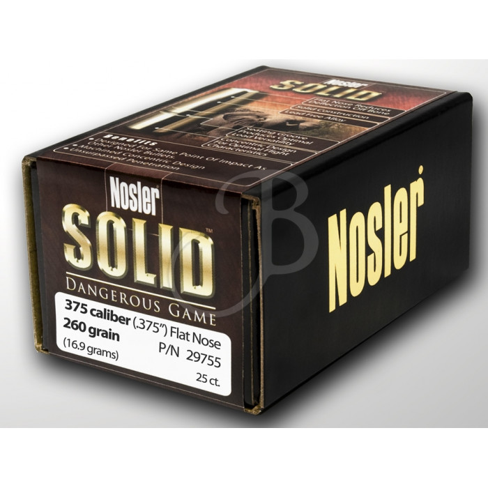 NOSLER SOLID DANGEROUS