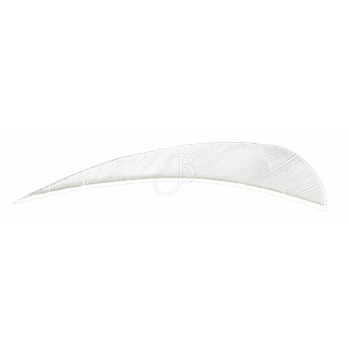 WILD MOUNTAIN 4" PARABOLIC R.W. FEATHER WILD MOUNTAIN 4" PARABOLIC R.W. FEATHER
