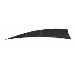 WILD MOUNTAIN PLUMES NAT. 4" SH
