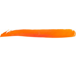 WILD MOUNTAIN PENNE NATURALI FULL LENGTH