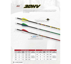 VICTORY ASTA 3DHV .204 SPORT