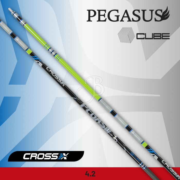 CROSS-X SHAFT PEGASUS CUBE+CREST CROSS-X SHAFT PEGASUS CUBE+CREST