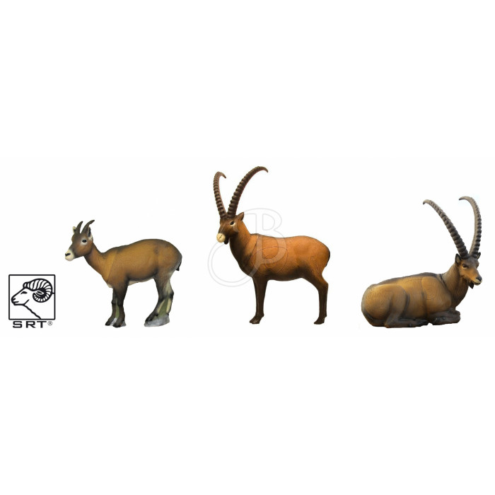 SRT SET 3D TARGET STEINBOCK SRT SET 3D TARGET STEINBOCK
