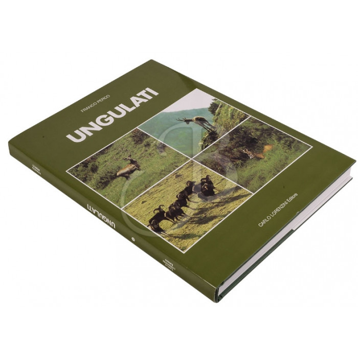L.E. GLI UNGULATI L.E. GLI UNGULATI