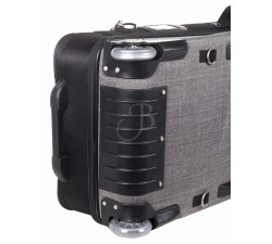AURORA FUNDA PROLINE HYBRID COMPUES.