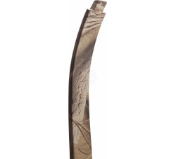 SKORPION BALESTRA XBR100 175♯ ARCHETTO RIC.