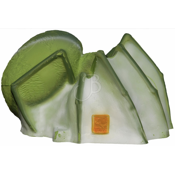 SRT 3D CIBLE ARAIGNEE VERTE SRT 3D CIBLE ARAIGNEE VERTE