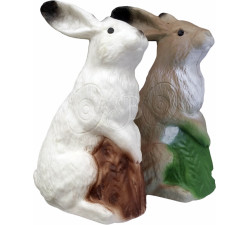 ELEVEN 3D TARGET ARCTIC HARE