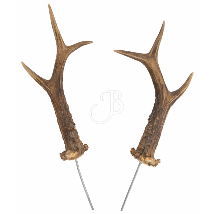 ELEVEN 3D CIBLE CORNES CERF BONDISSAN ELEVEN 3D CIBLE CORNES CERF BONDISSAN