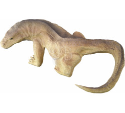 ELEVEN 3D TARGET VARANUS