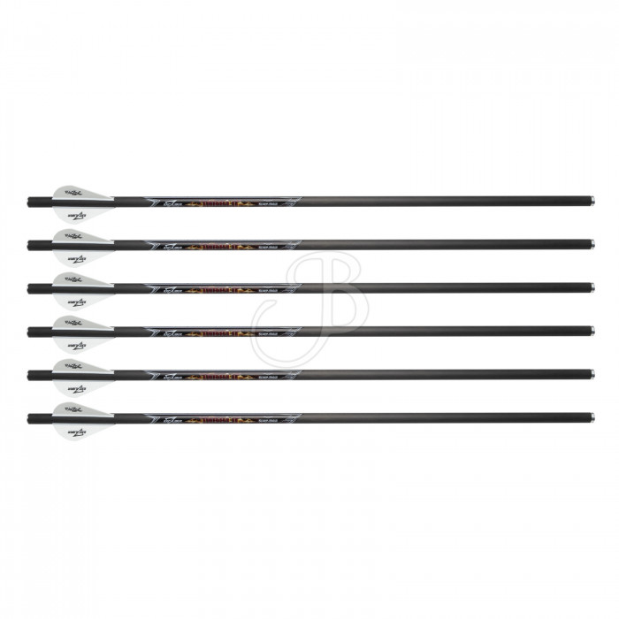 EXCALIBUR DARDO CARBONIO DIABLO 18" 6PK EXCALIBUR DARDO CARBONIO DIABLO 18" 6PK