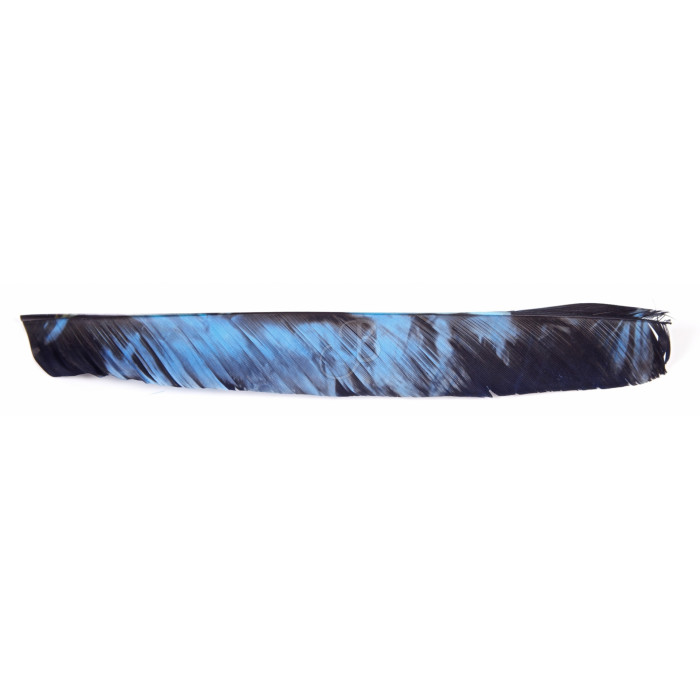 GATEWAY NATURFEDERN FL TREB 100PZ GATEWAY NATURFEDERN FL TREB 100PZ