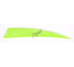GATEWAY NATURFEDERN SHIELD 4"    100PZ