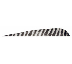 GATEWAY 4"   PARAB. R.W. PK100 BARRED