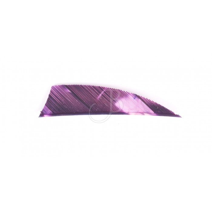 GATEWAY RAYZR FEATH.2"TREB. GATEWAY RAYZR FEATH.2"TREB.