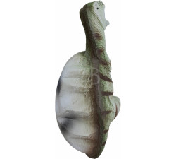 ELEVEN 3D TIER BABY DINO