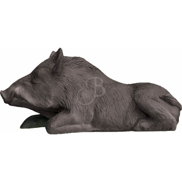 ELEVEN 3D CIBLE SANGLIER ASSIS ELEVEN 3D CIBLE SANGLIER ASSIS