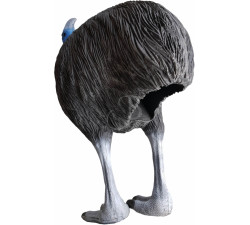 ELEVEN 3D CIBLE CASOAR