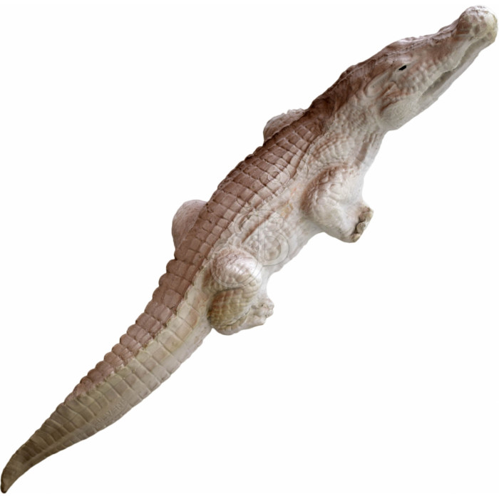 ELEVEN 3D TARGET CROCODILE ELEVEN 3D TARGET CROCODILE
