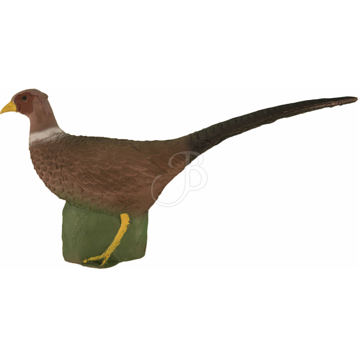 ELEVEN 3D TARGET PHEASANT ELEVEN 3D TARGET PHEASANT
