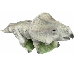 ELEVEN 3D CIBLE PROTOCERATOPS