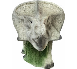 ELEVEN 3D TARGET PROTOCERATOPS
