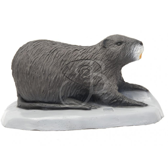 SRT SAGOMA 3D NUTRIA SRT SAGOMA 3D NUTRIA