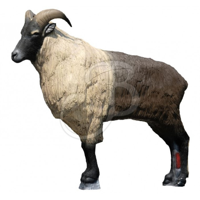 SRT 3D TARGET HIMALAYAN TAHR SRT 3D TARGET HIMALAYAN TAHR