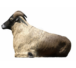 SRT SAGOMA 3D TAHR DELL'HIMALAYA SDRAIATO
