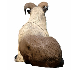 SRT SAGOMA 3D TAHR DELL'HIMALAYA SDRAIATO