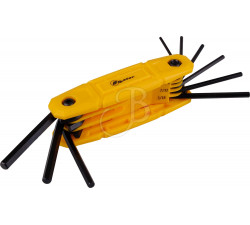 BOOSTER SET DI CHIAVI ALLEN