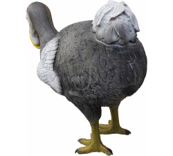 ELEVEN SAGOMA 3D DODO