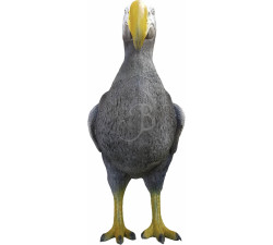 ELEVEN 3D TARGET DODO