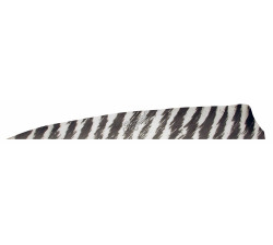 GATEWAY NATURFEDERN SH. 4" BARR  100PZ
